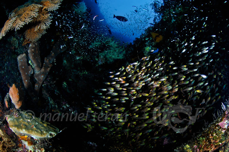 fondo marino